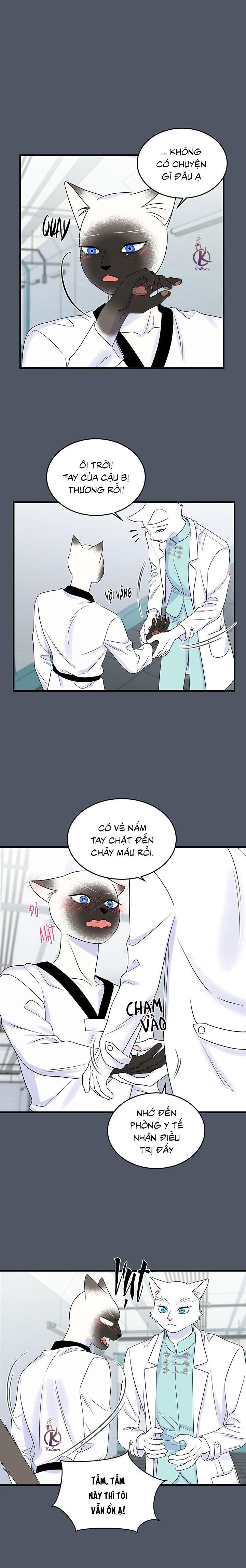 dự án xanh chapter 41 6