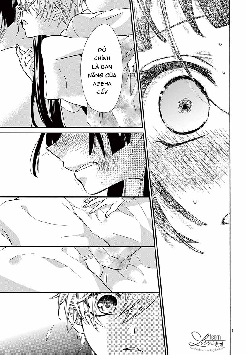 chàng rể giả nhân giả nghĩa chapter 5 7