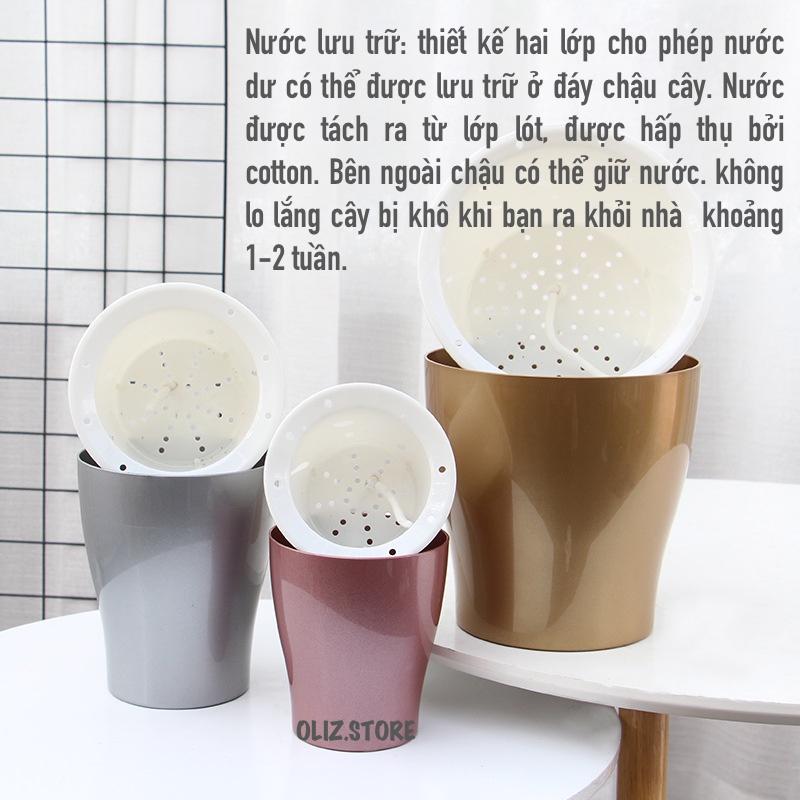 Chậu cây để bàn Oliz W0 - Chậu trồng cây tự tưới nước cho cây. Dùng trang trí nhà cửa, bàn làm việc