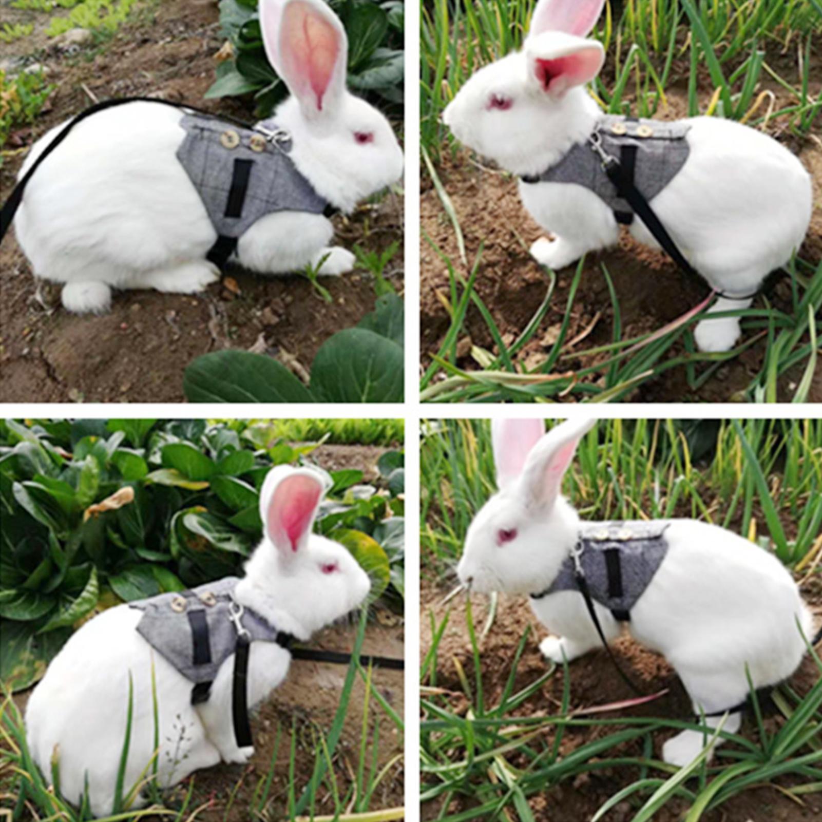 Fashionable Comfortable Rabbit Suit Harness Leash Cute Bunny Vest Harness and Leash Set With Button Decor