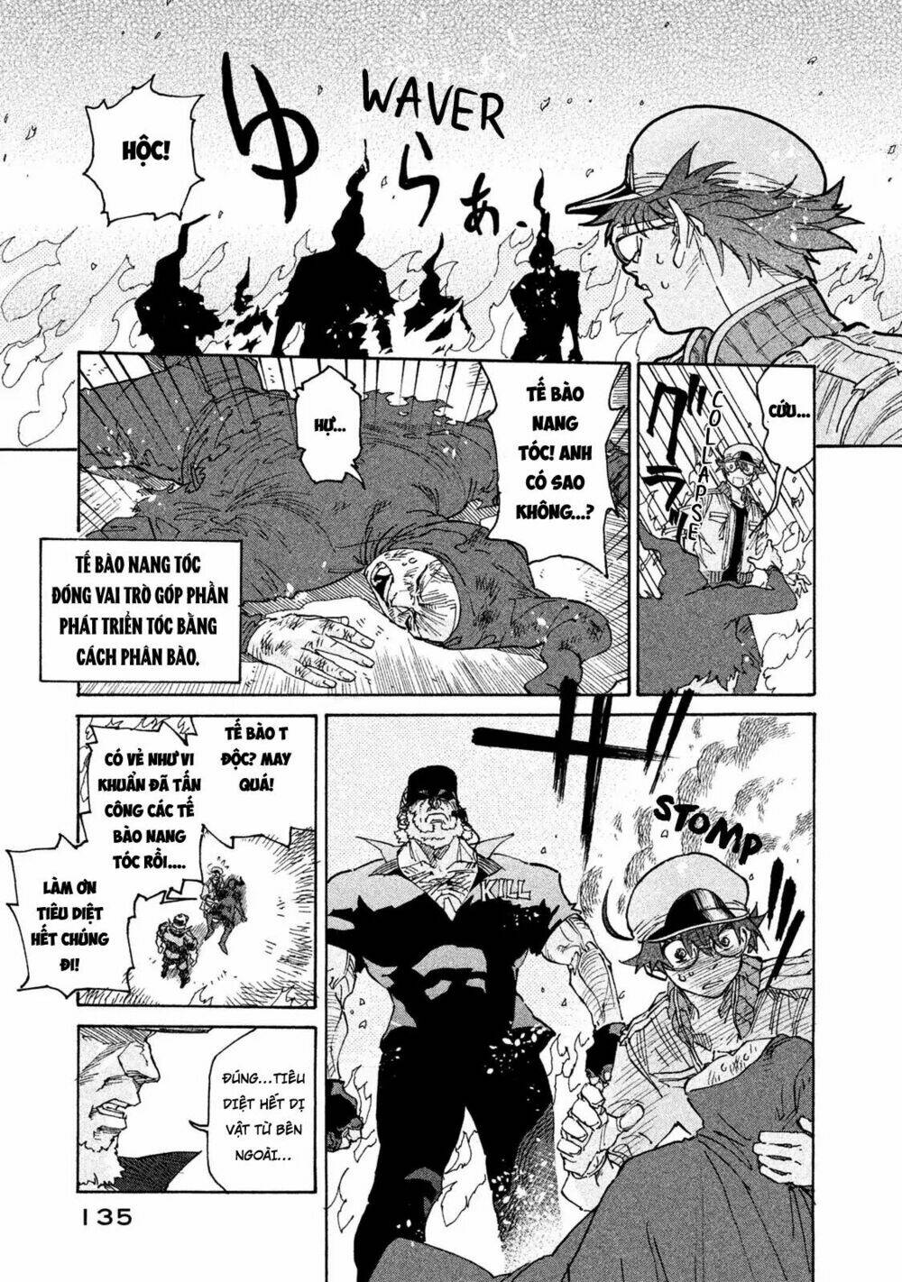 biệt đội tế bào black - hataraku saibou black chapter 5 9