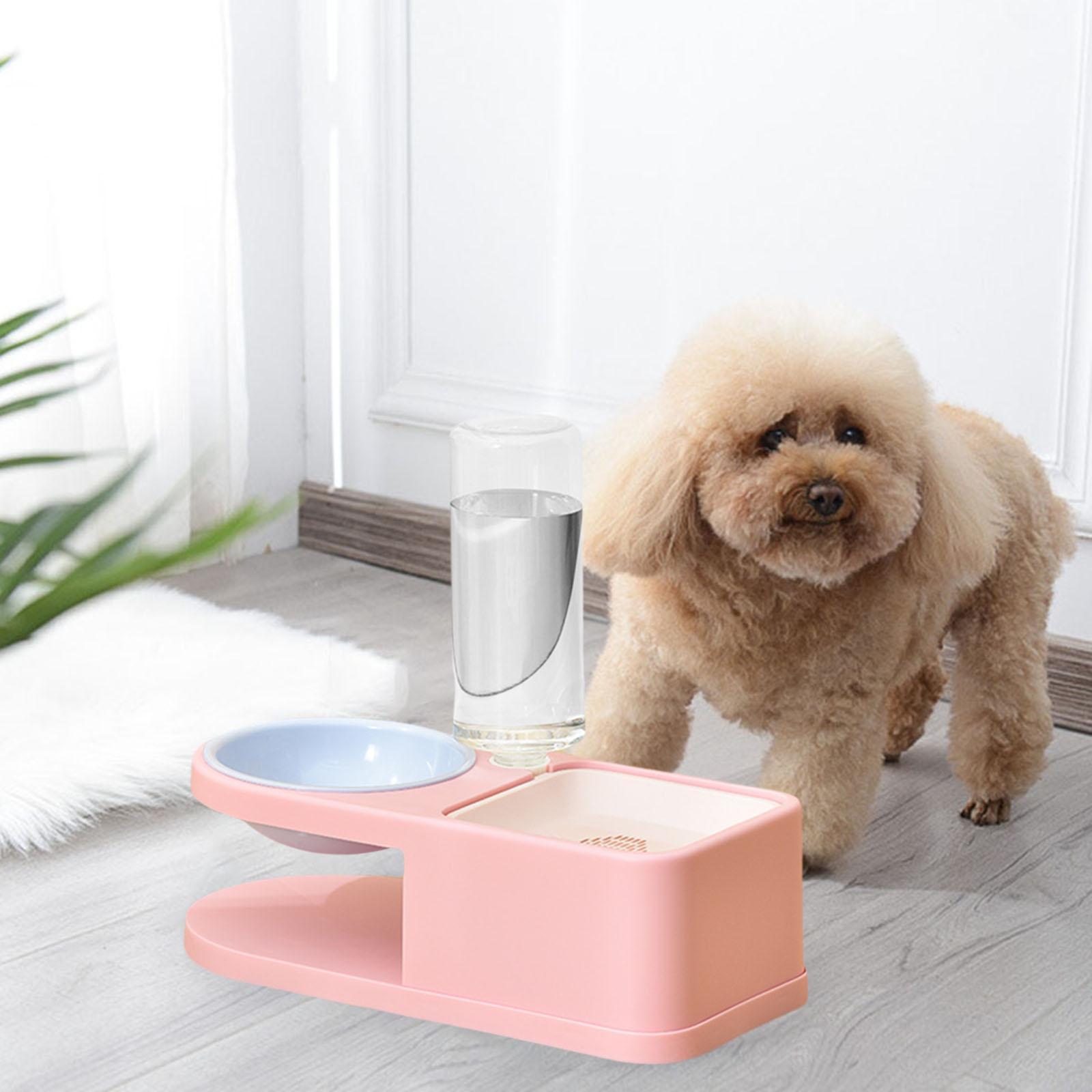 2Pcs Large Automatic Pet Bowl Dog Cat Water Fountain Dry Food Dispenser