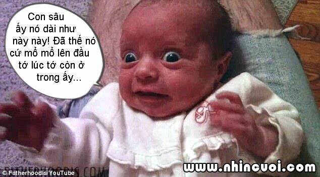 hình ảnh hài hước new chapter 5 25