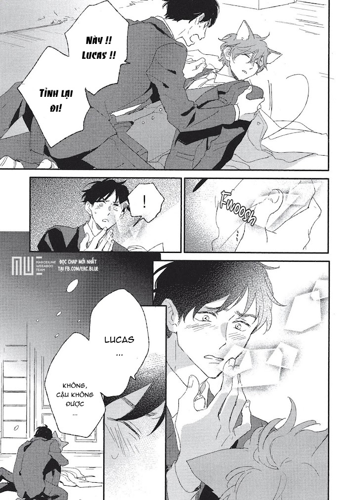 neko to mahou wa kiss de hodokeru chapter 1 25