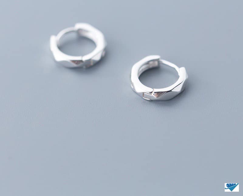 Bông tai bạc thời trang chất liệu bạc s925 MS0045