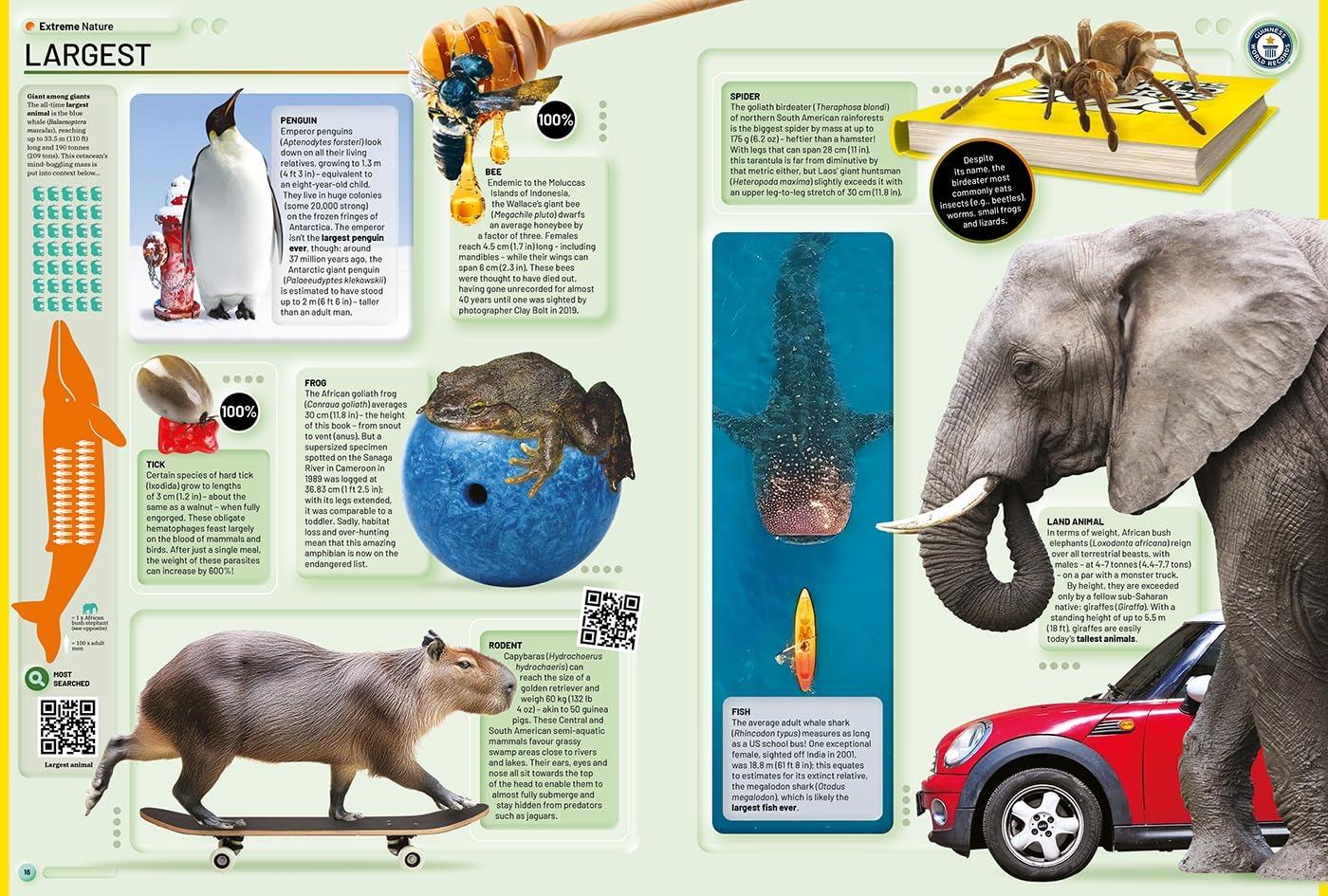 Sách ngoại văn: Guinness World Records 2026