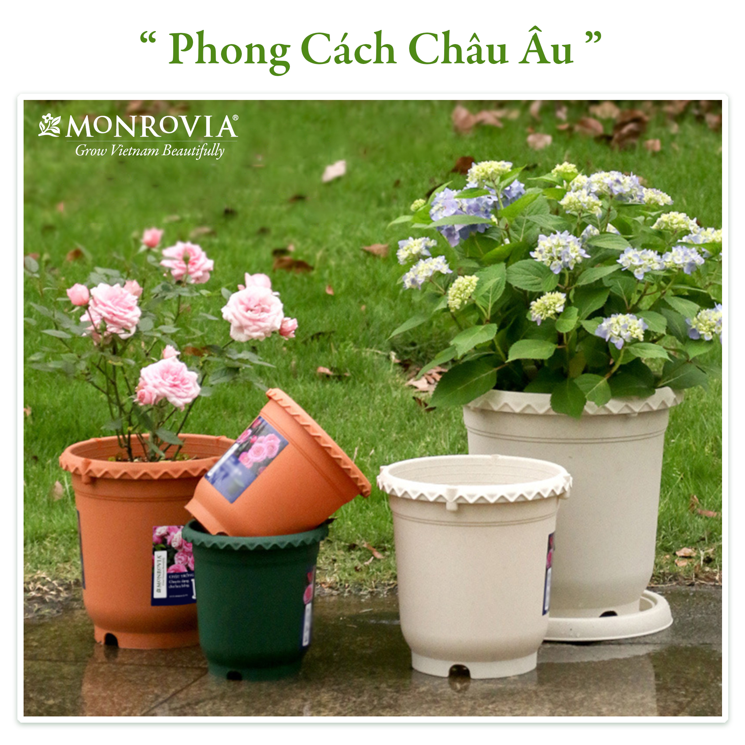 Chậu Trồng Cây Decor Trang Trí Thương Hiệu Monrovia Chuyên Cho Hoa, Hoa Hồng, Kèm Đĩa Lót Thông Minh, Thiết Kế Tinh Tế, Tiêu Chuẩn Châu Âu - Gốm Nâu Đất 30