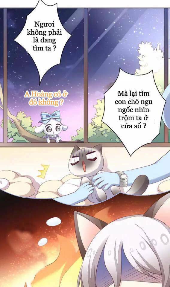 dưới móng vuốt mèo chapter 15 5