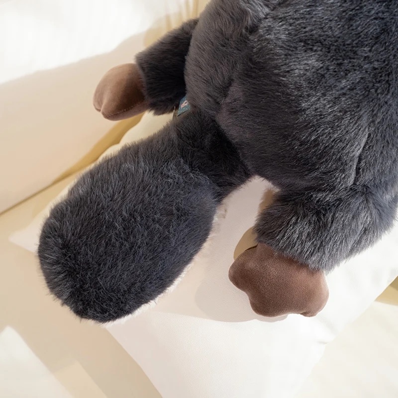 Thú nhồi bông rái cá mỏ vịt đáng yêu - Size 55cm đến 70cm - Quà tặng gấu bông thú mỏ vịt êm mịn cho bé