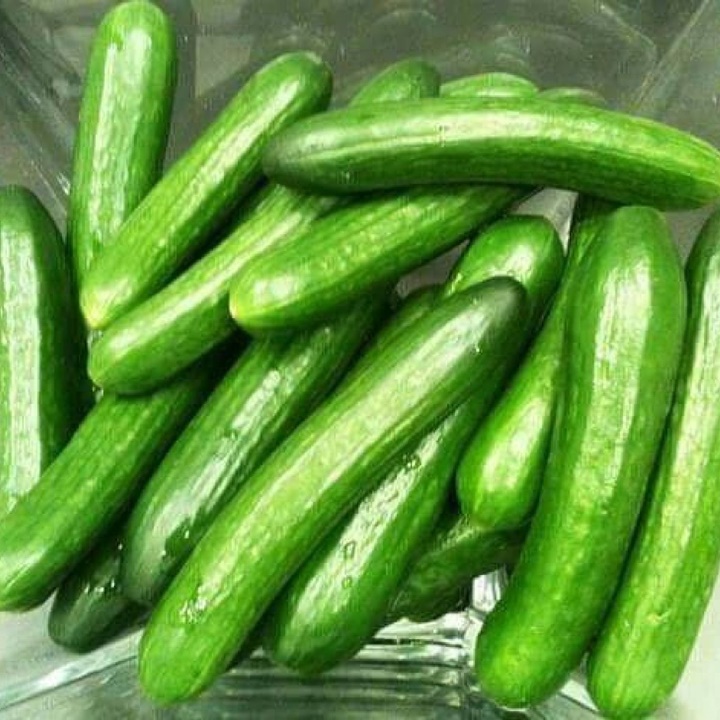 Hạt giống Dưa chuột baby gói 0.5 gram