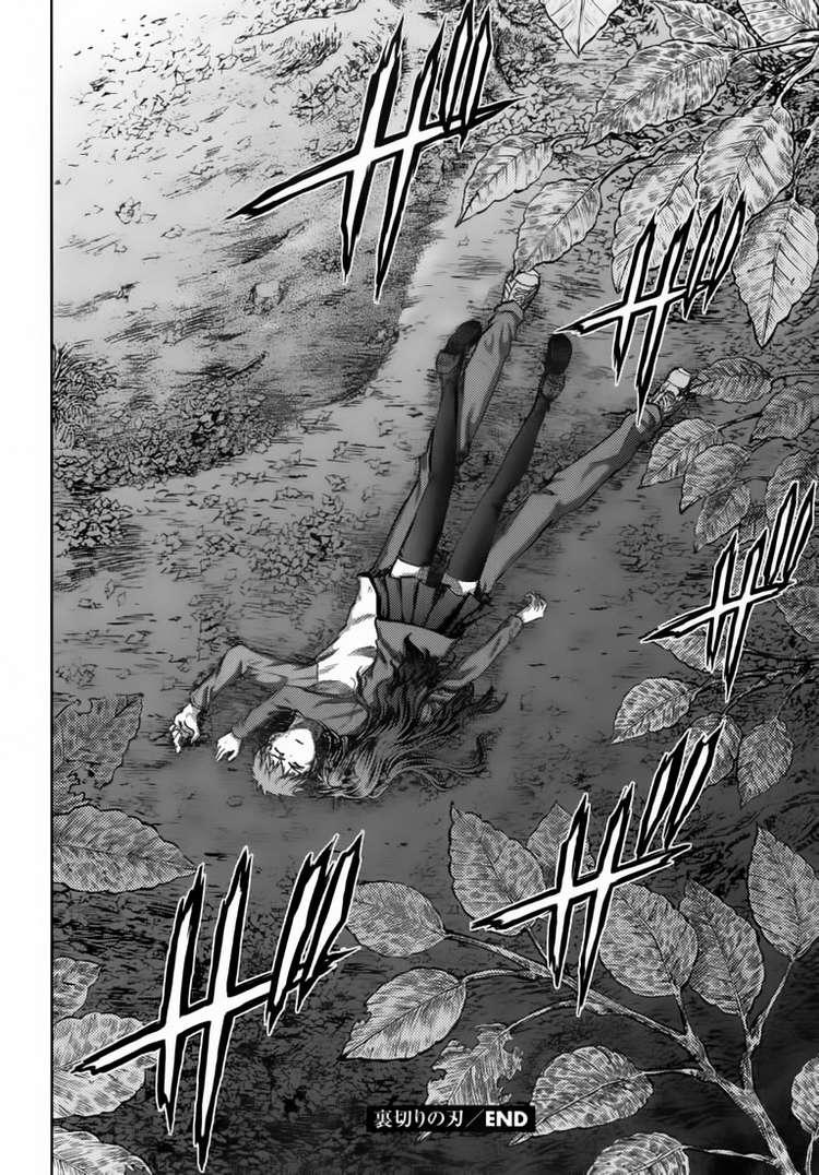 fate stay night chapter 37 41