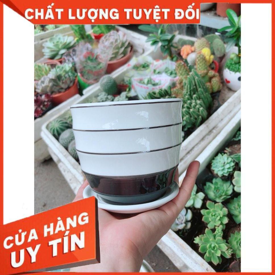 Chậu kiểu trắng đen tráng men cao cấp kèm dĩa lót
