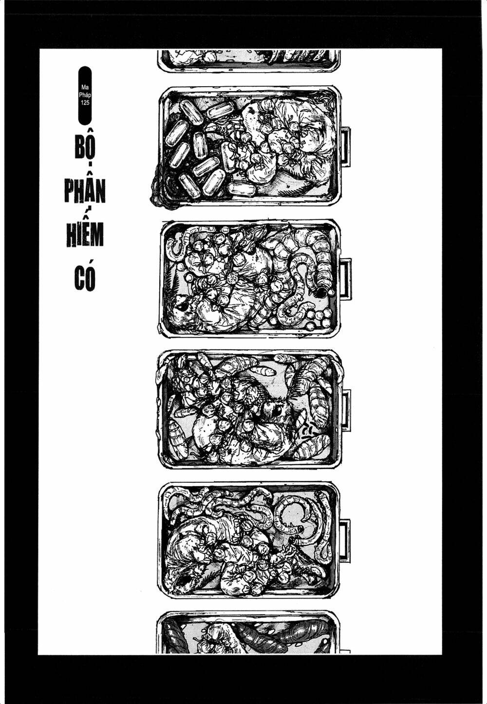 thế giới ma thuật và kẻ mất trí chapter 125 3