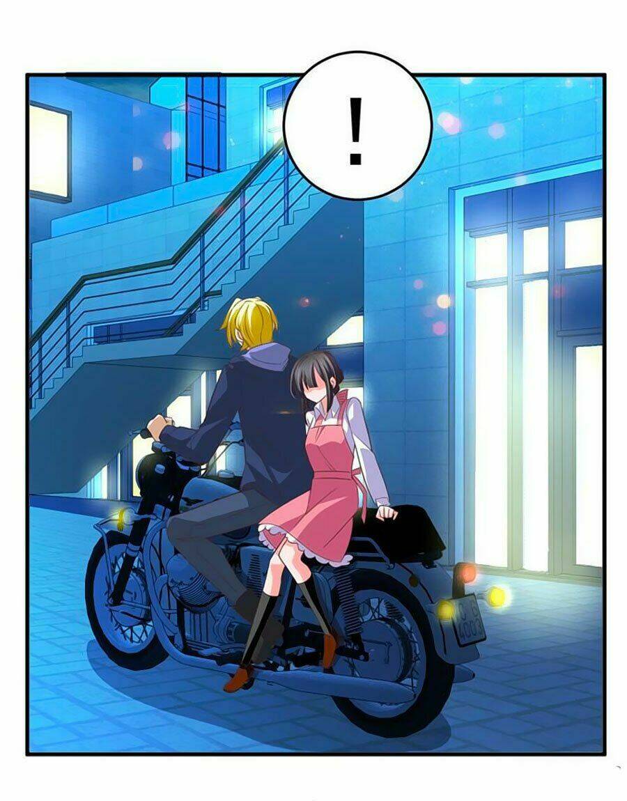 người yêu khát máu của tôi chapter 51 11