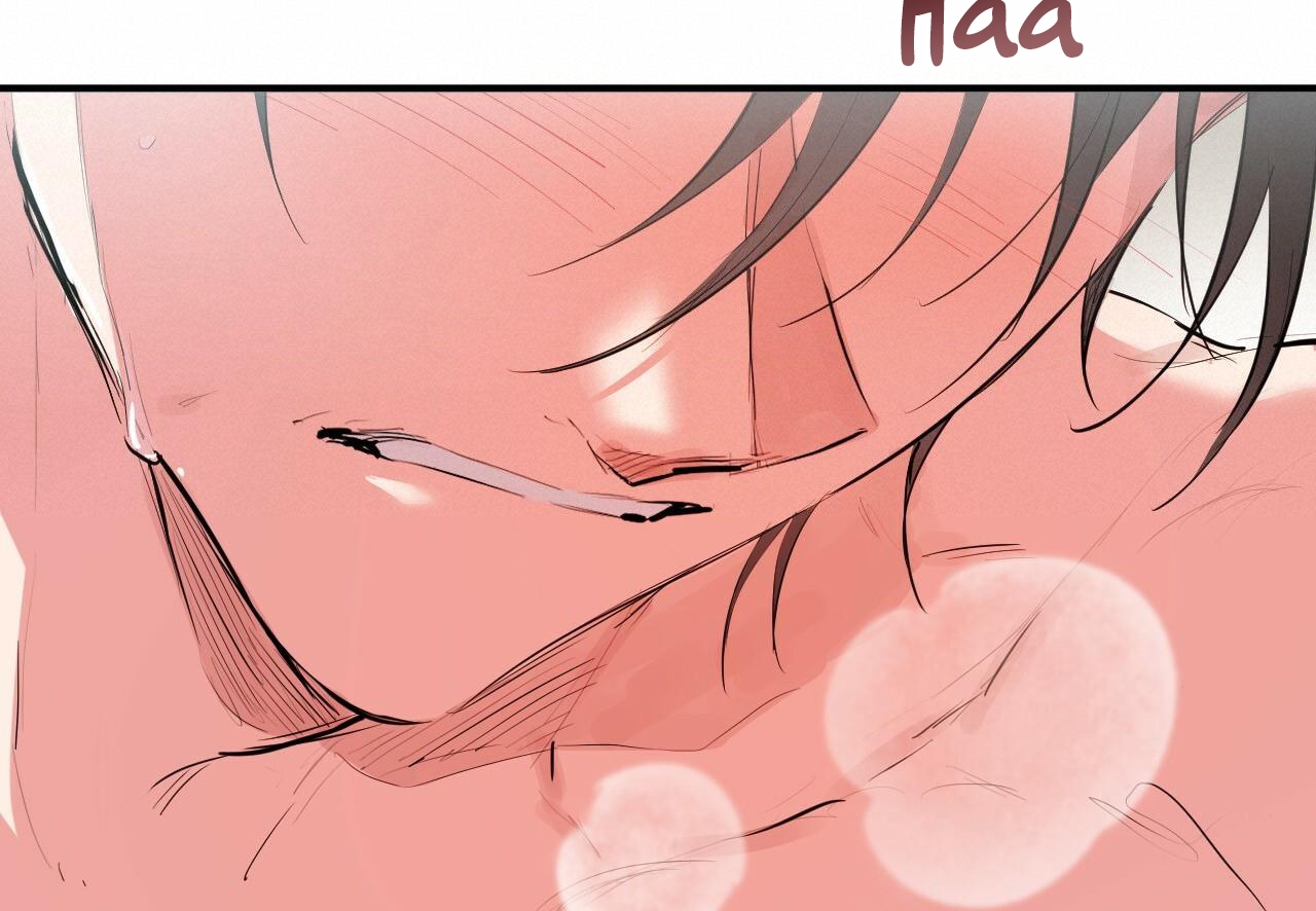 đàn thỏ của habibi chapter 29 53