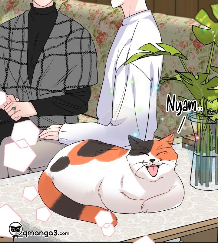 xác suất tình yêu chapter 50 75