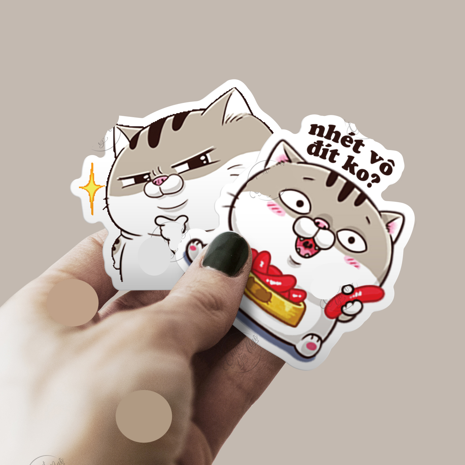 Set 60 Sticker Mèo Ami Mập Bụng Bự ảnh decal hình dán ép lụa