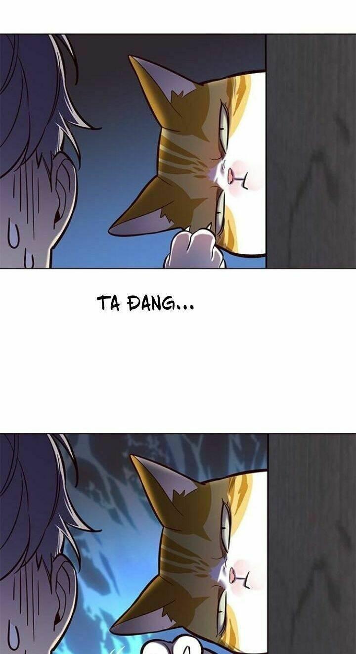 biến thân thành mèo chapter 112 71