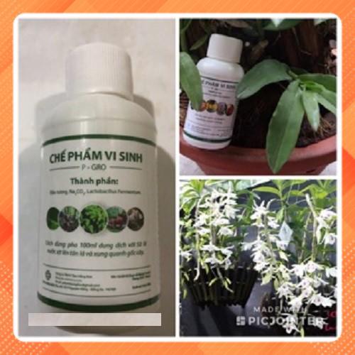 CHẾ PHẨM VI SINH P-GRO
