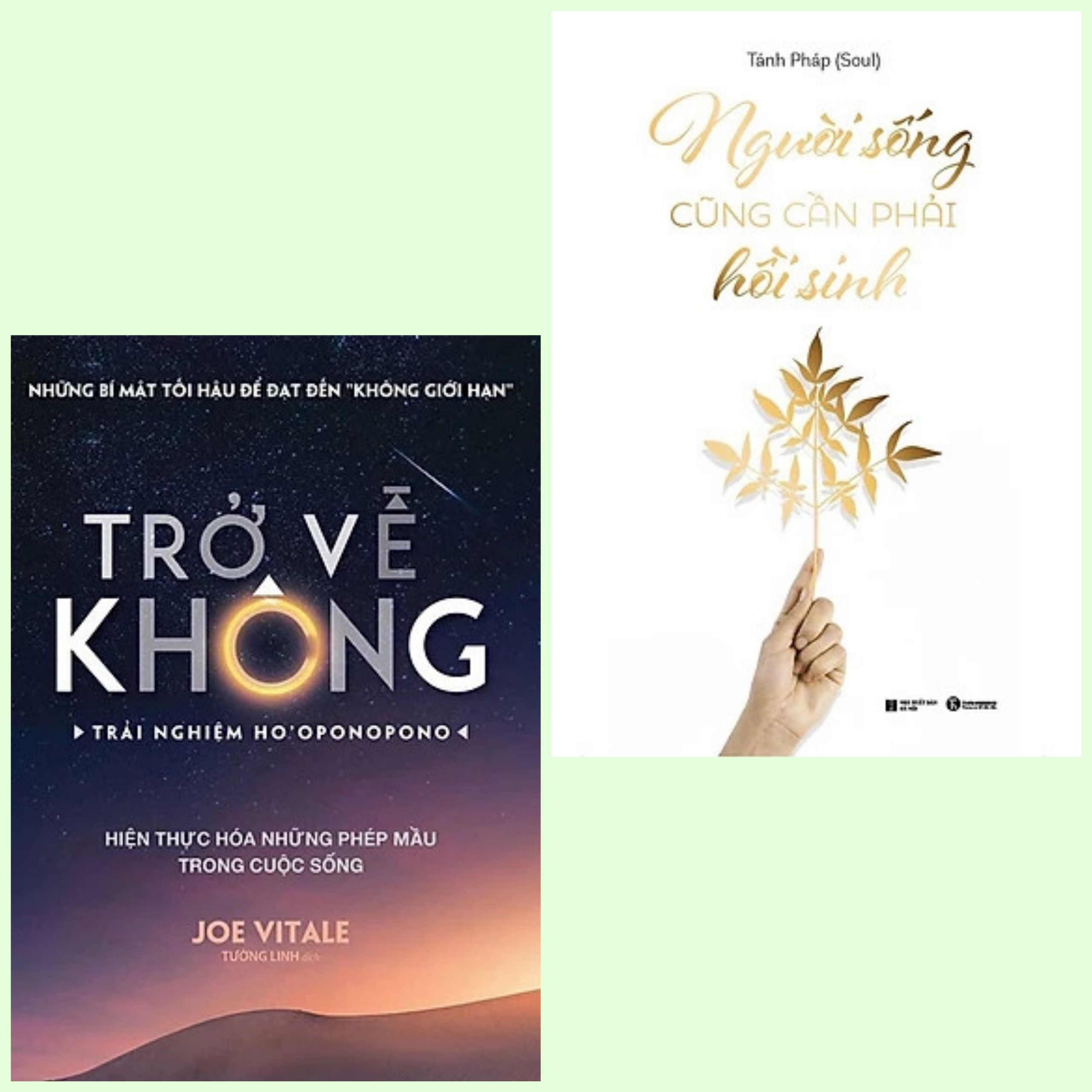 Combo 2 cuốn:  Trở Về Không - Trải Nghiệm Ho'oponopono + Người Sống Cũng Cần Phải Hồi Sinh