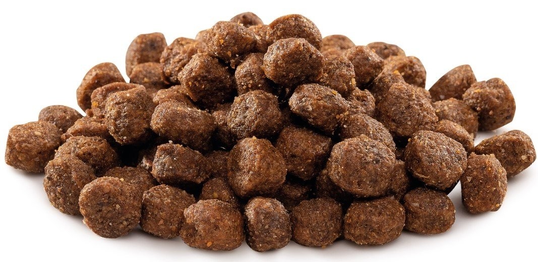 Thức Ăn Cho Chó Phốc Huơu Dưới 12 Tháng Tuổi, Chó Mẹ Cho Con Bú - Brit Care Mini Grain Free Puppy