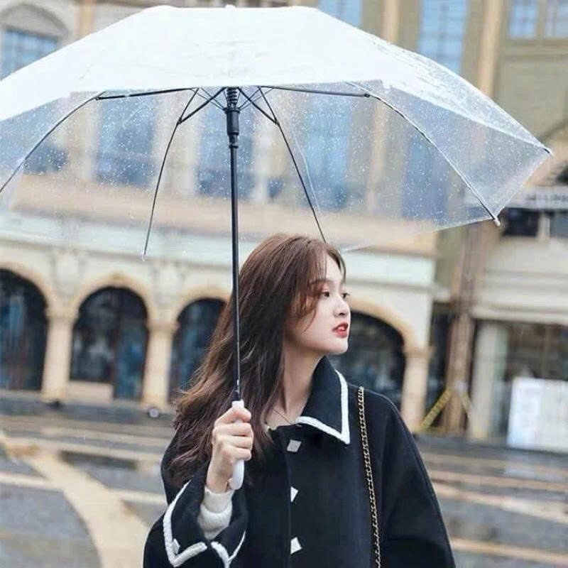 Dù Trong Suốt Thời Trang Cán Cong – Che Mưa Hiệu Quả, Nhẹ Nhàng Và Thanh Lịch