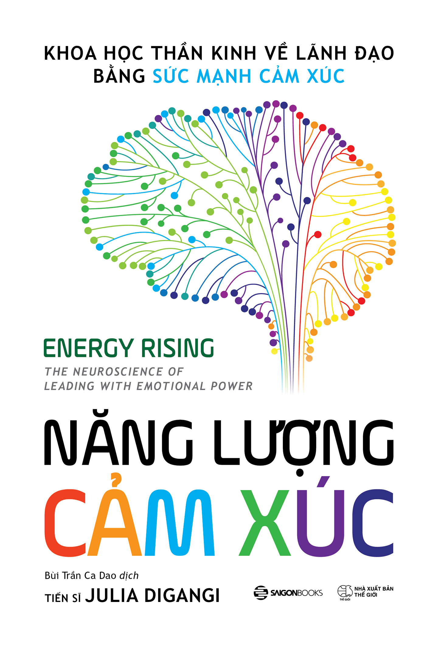Năng Lượng Cảm Xúc - Khoa học thần kinh về lãnh đạo bằng sức mạnh cảm xúc