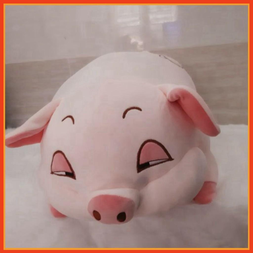Gối Ôm Heo Phê Cần - Thú Bông Heo Mắt Híp,Gấu Bông Thú Nhồi Bông Heo Béo Ú Đáng Yêu Ngộ Nghĩnh SM744