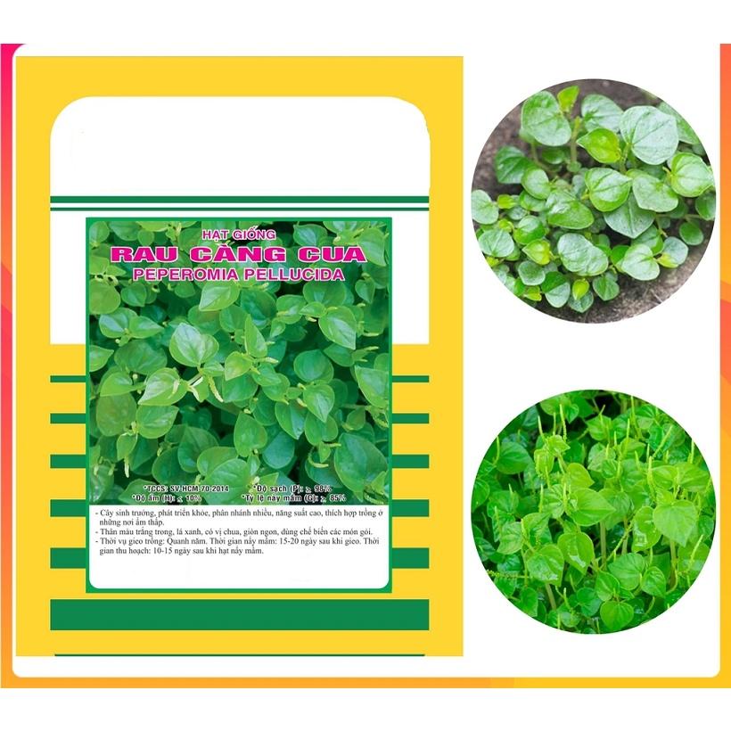 HẠT GIỐNG RAU CÀNG CUA - DỄ TRỒNG DỄ CHĂM SÓC, NĂNG SUẤT CAO NHANH THU HOẠCH