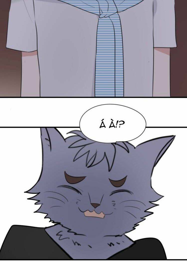 tiểu miêu và hắc diệu thạch chapter 8 18