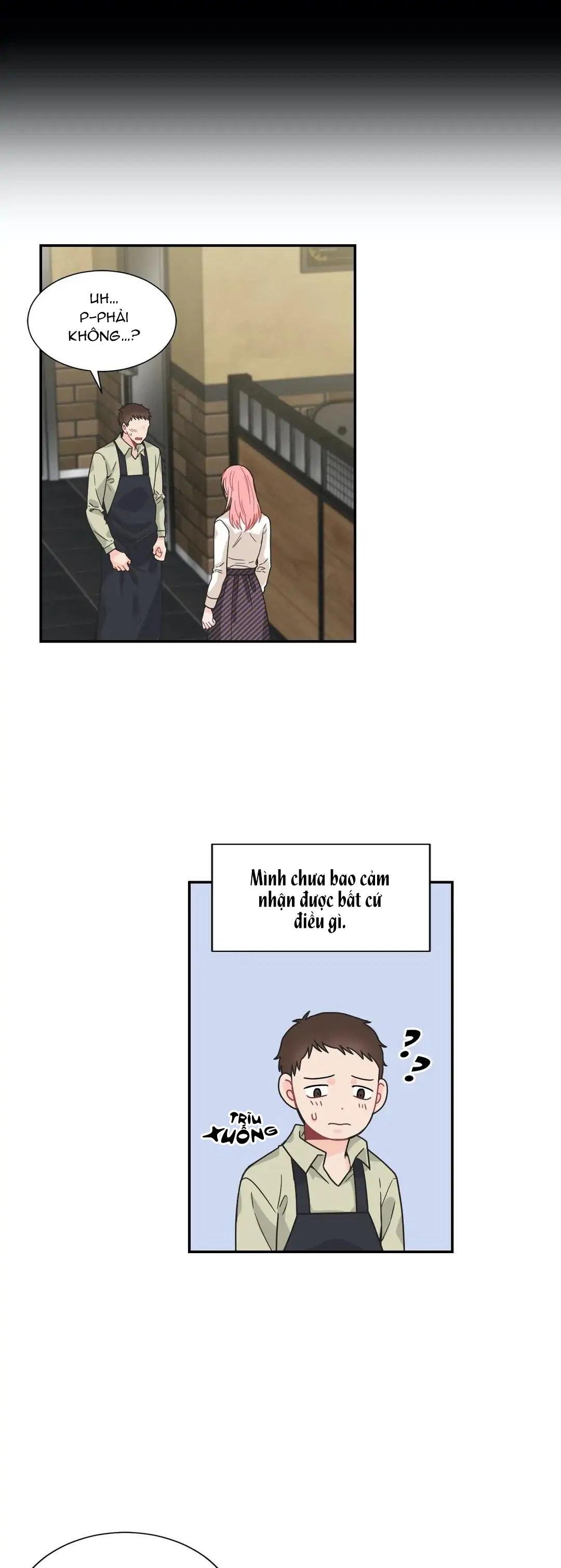 đường ranh giới chapter 28 29