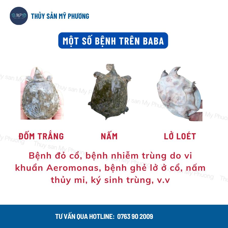 Oxytetracycline Hcl 99% ks ba ba nấm ghẻ lở phù sưng đỏ cổ mai gan thận mủ mù mờ mắt đốm trắng xuất huyết nấm thủy mi