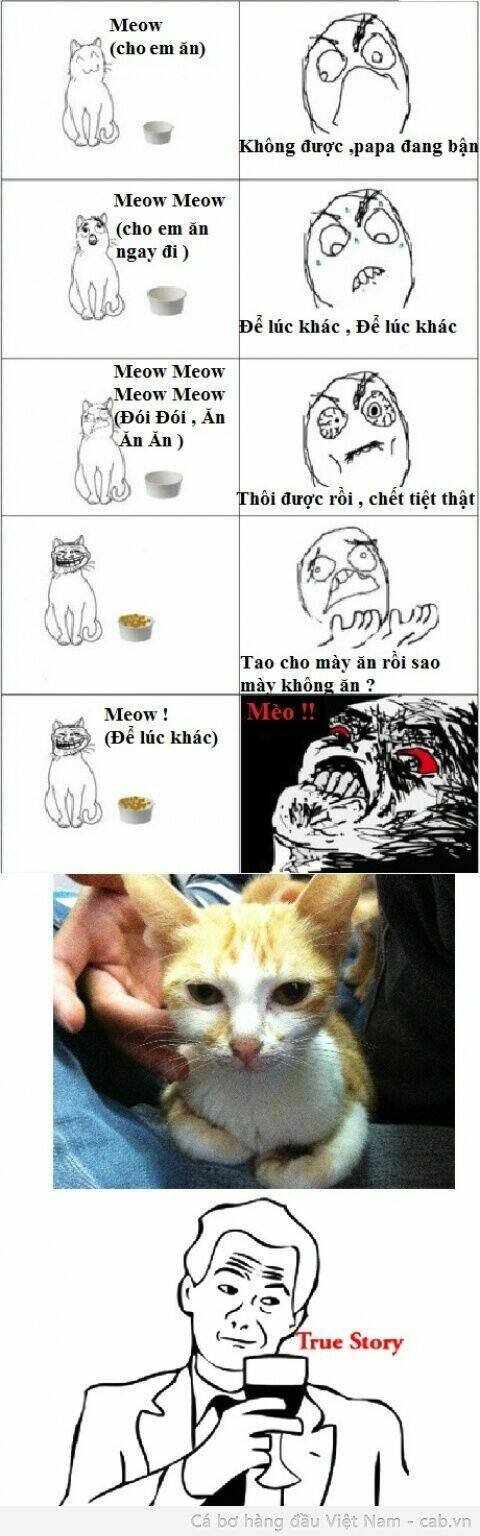 rage comic-troll chapter 43 19