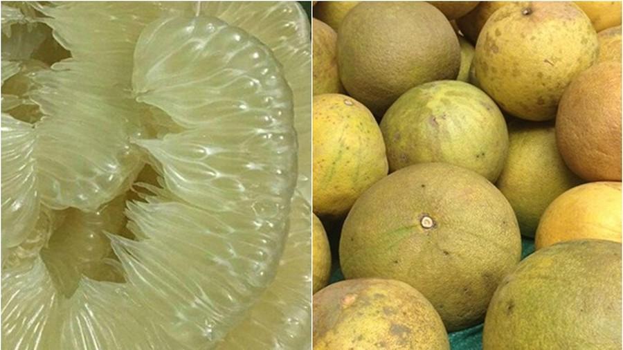 Cây bưởi đoan hùng, giống bưởi đoan hùng, đặc sản phú thọ