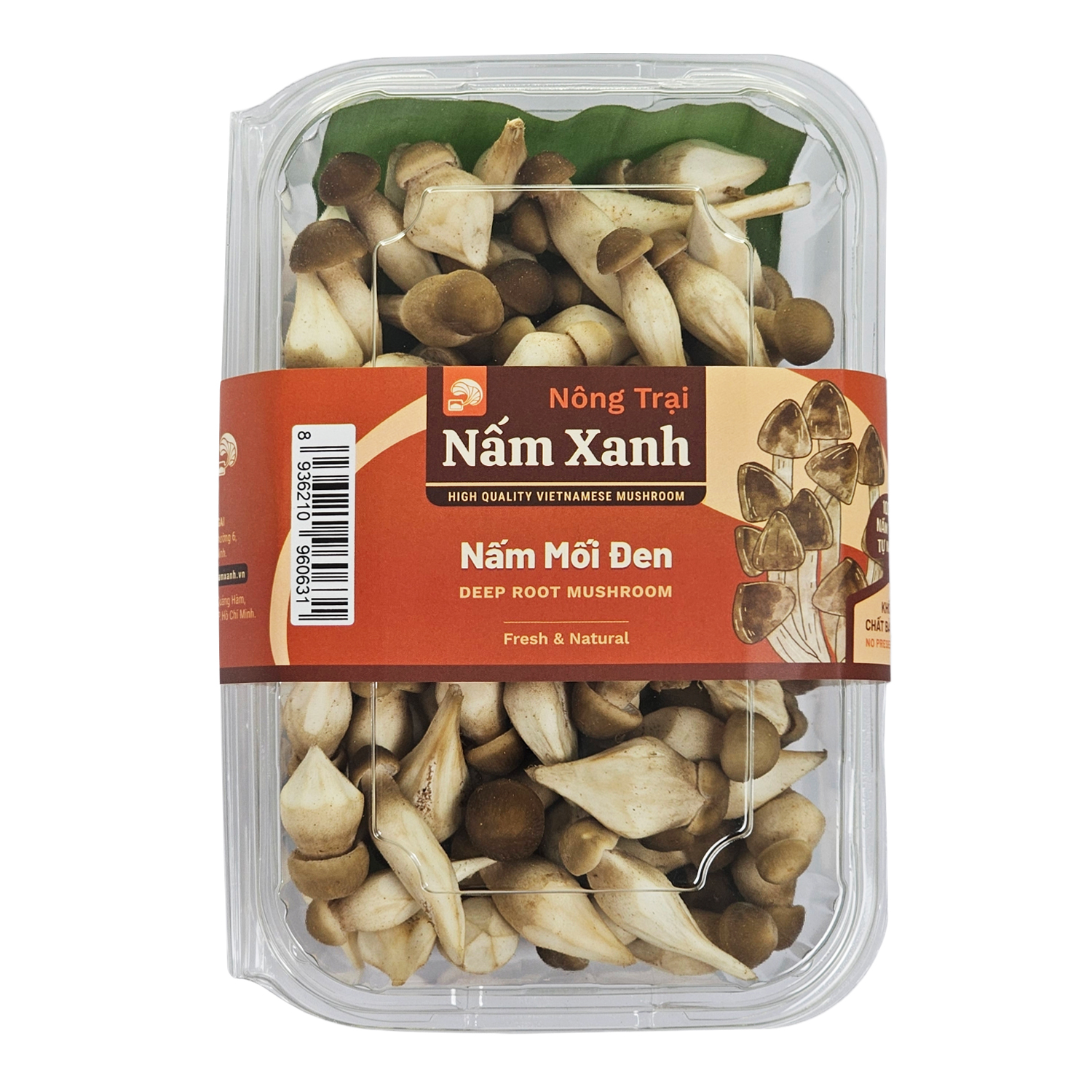 Nấm Mối Đen Tươi 1kg - Nông Trại Nấm Xanh