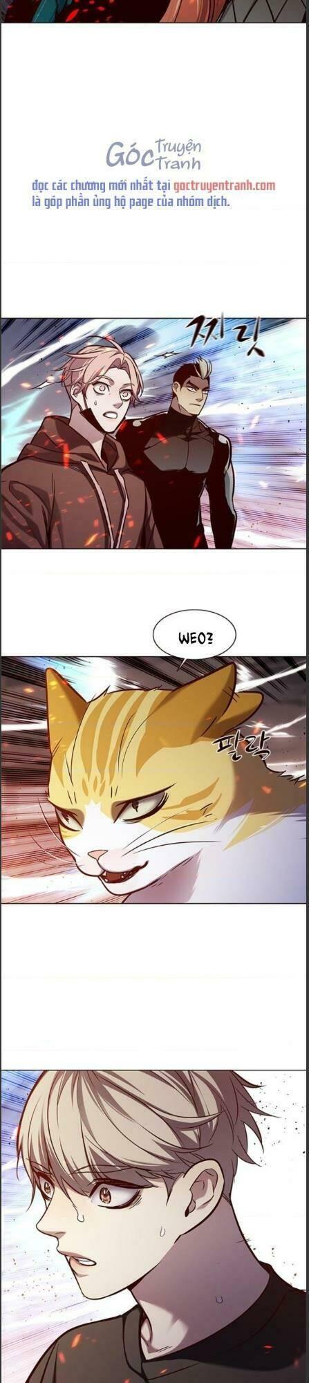 biến thân thành mèo chapter 162 33