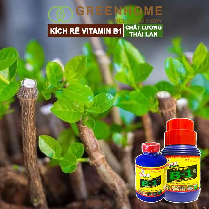 Phân kích rễ Greenhome, b1, chai 100ml, tạo mầm, rễ khoẻ, sai hoa