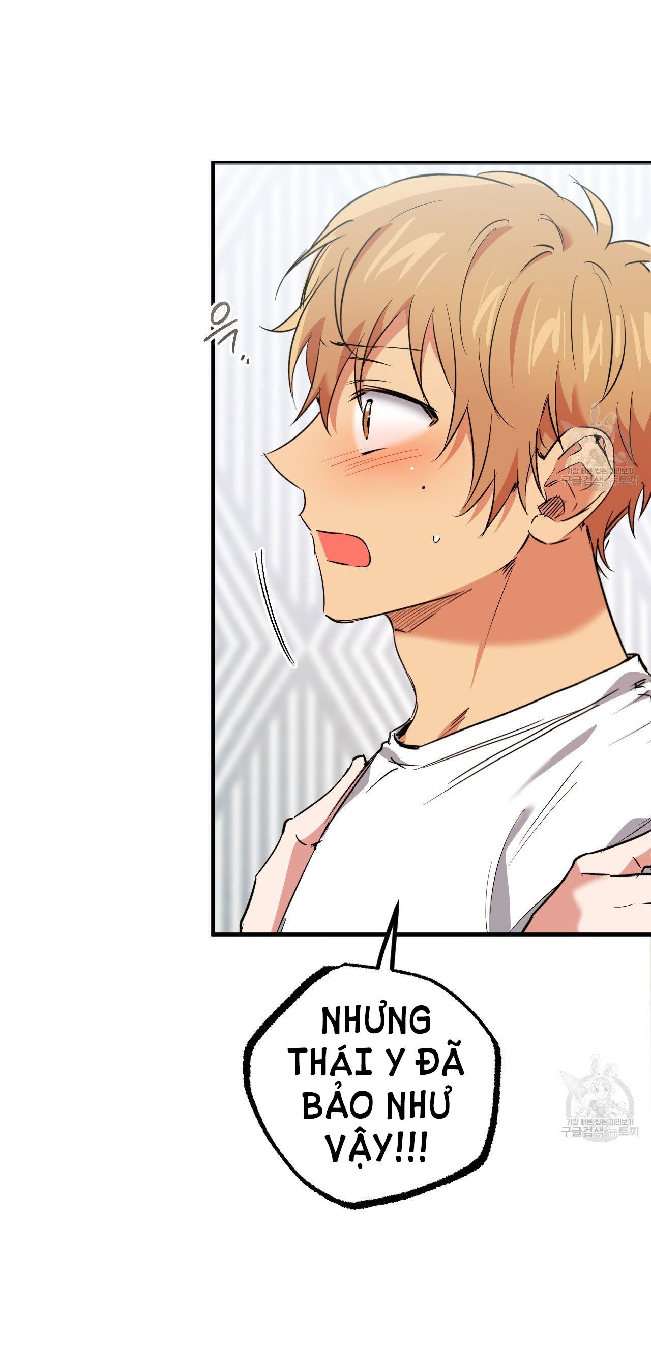 những chú thỏ của hapypy chapter 61.1 4