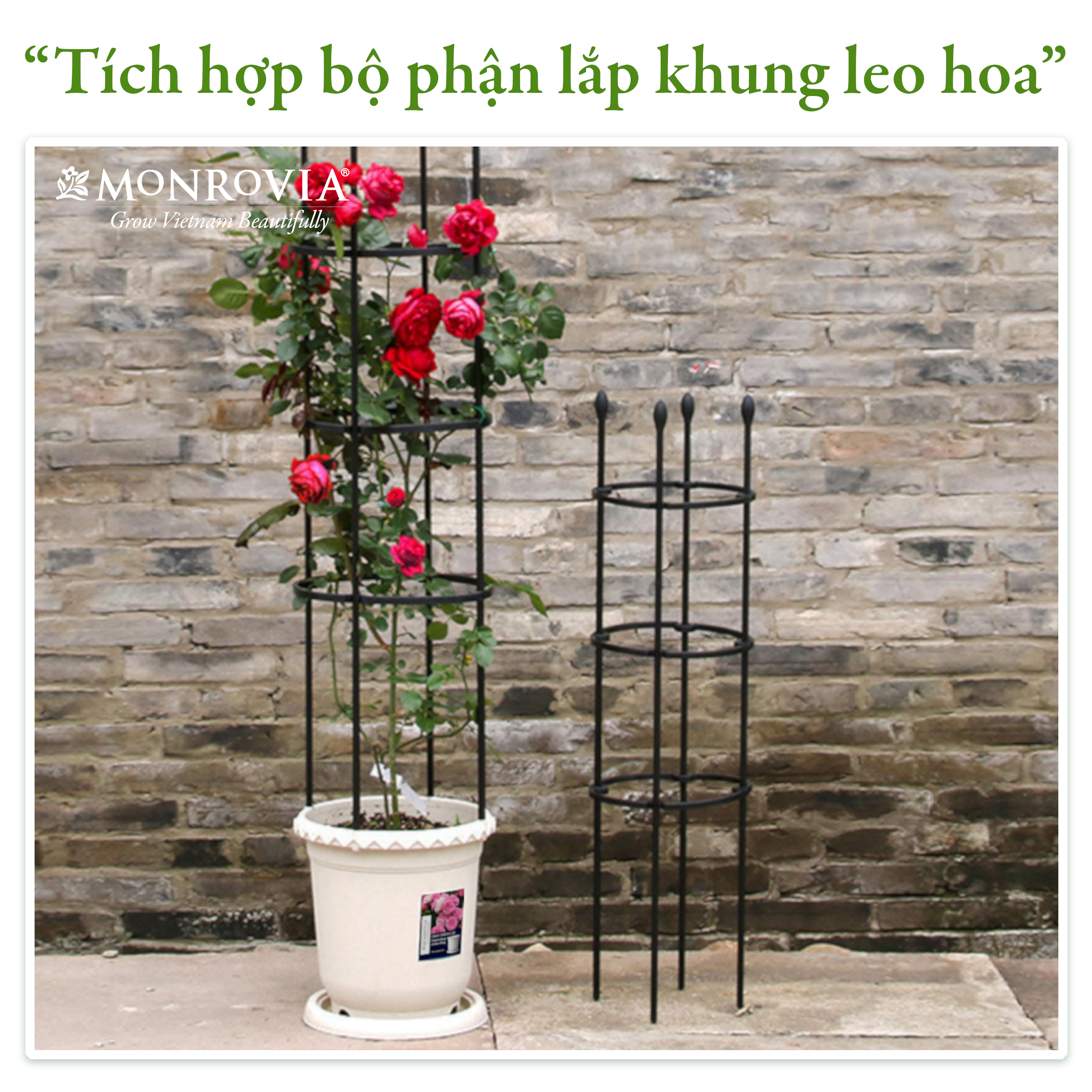 Chậu trồng cây Decor trang trí thương hiệu MONROVIA chuyên cho Hoa, hoa hồng, kèm đĩa lót thông minh, thiết kế tinh tế, tiêu chuẩn Châu Âu