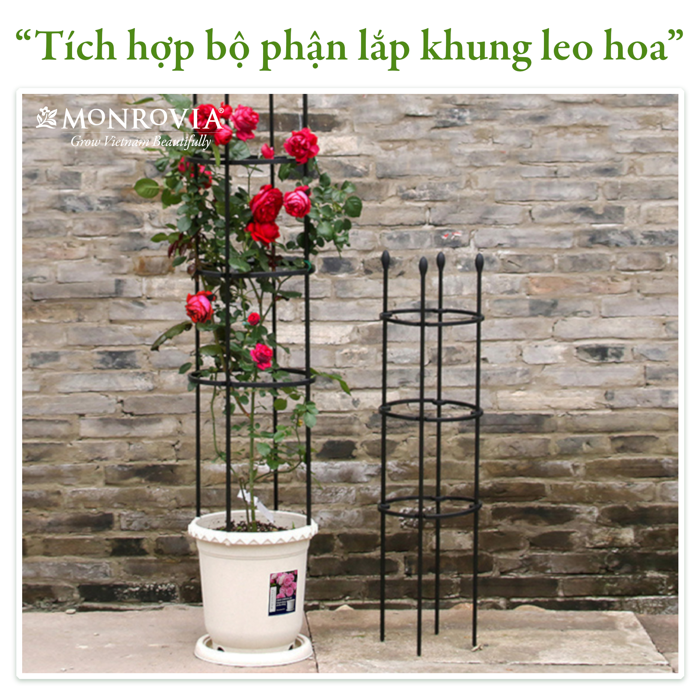 Chậu trồng cây Decor trang trí thương hiệu MONROVIA chuyên cho Hoa, hoa hồng, kèm đĩa lót thông minh, thiết kế tinh tế, tiêu chuẩn Châu Âu