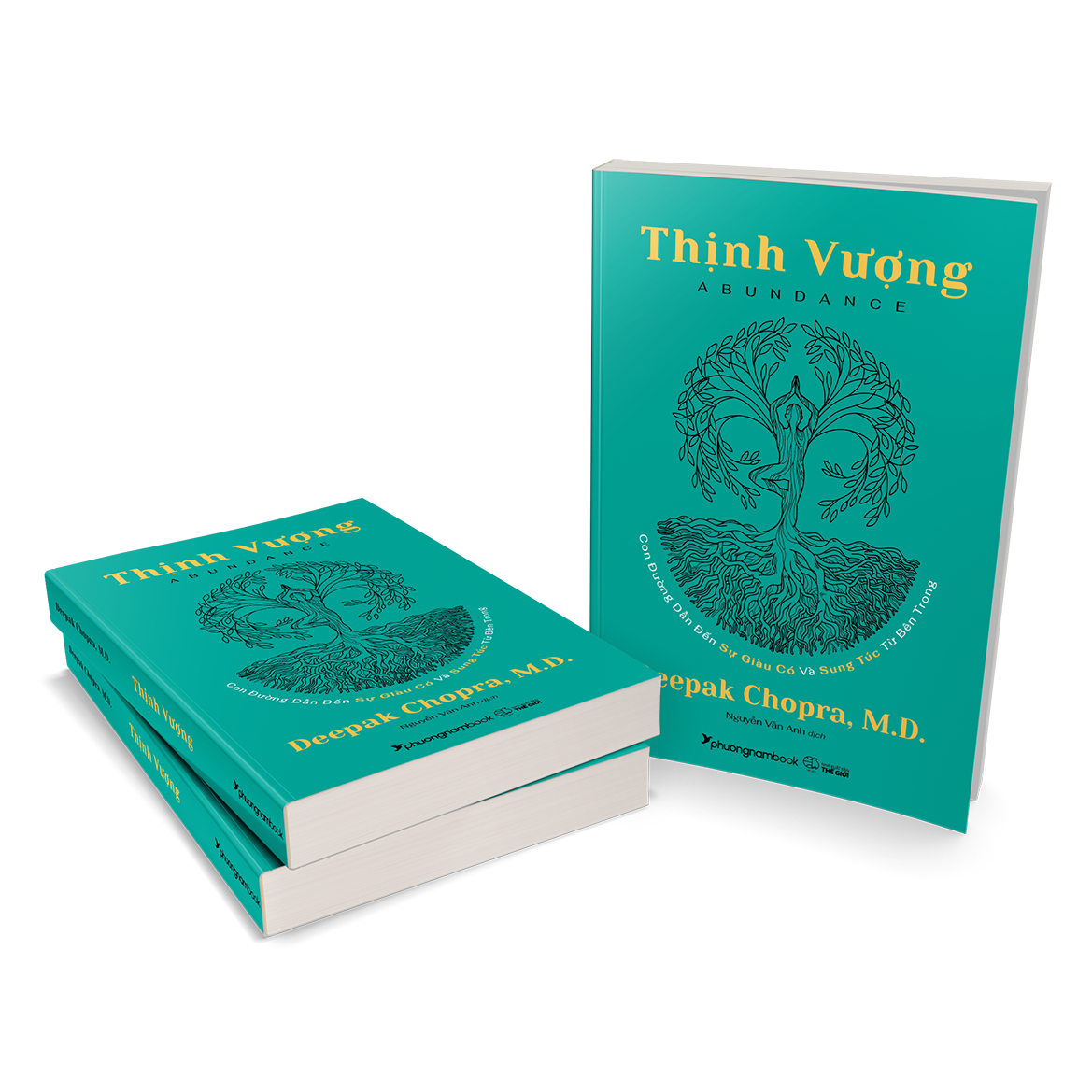 THỊNH VƯỢNG (Abundance)