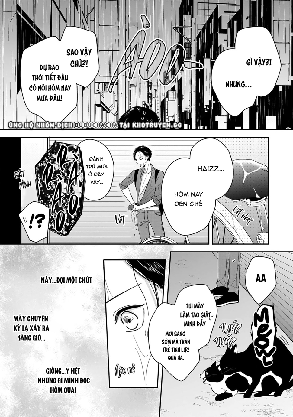 dù không là định mệnh chapter 1 8