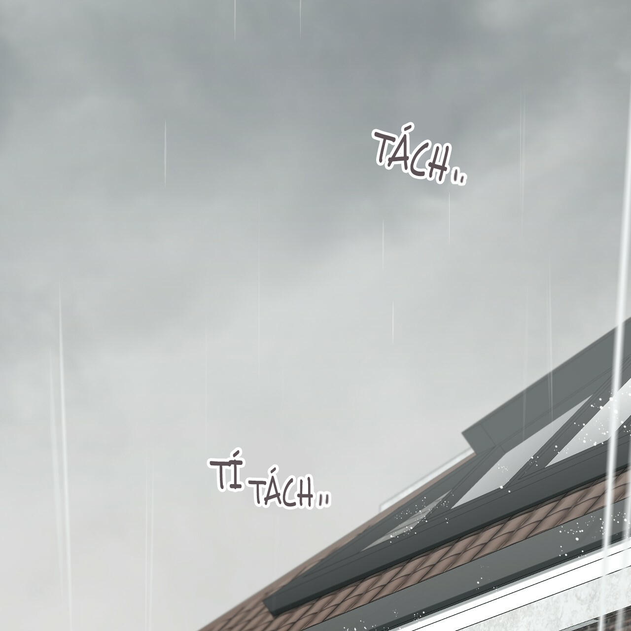 những chú thỏ của hapypy chapter 11 34