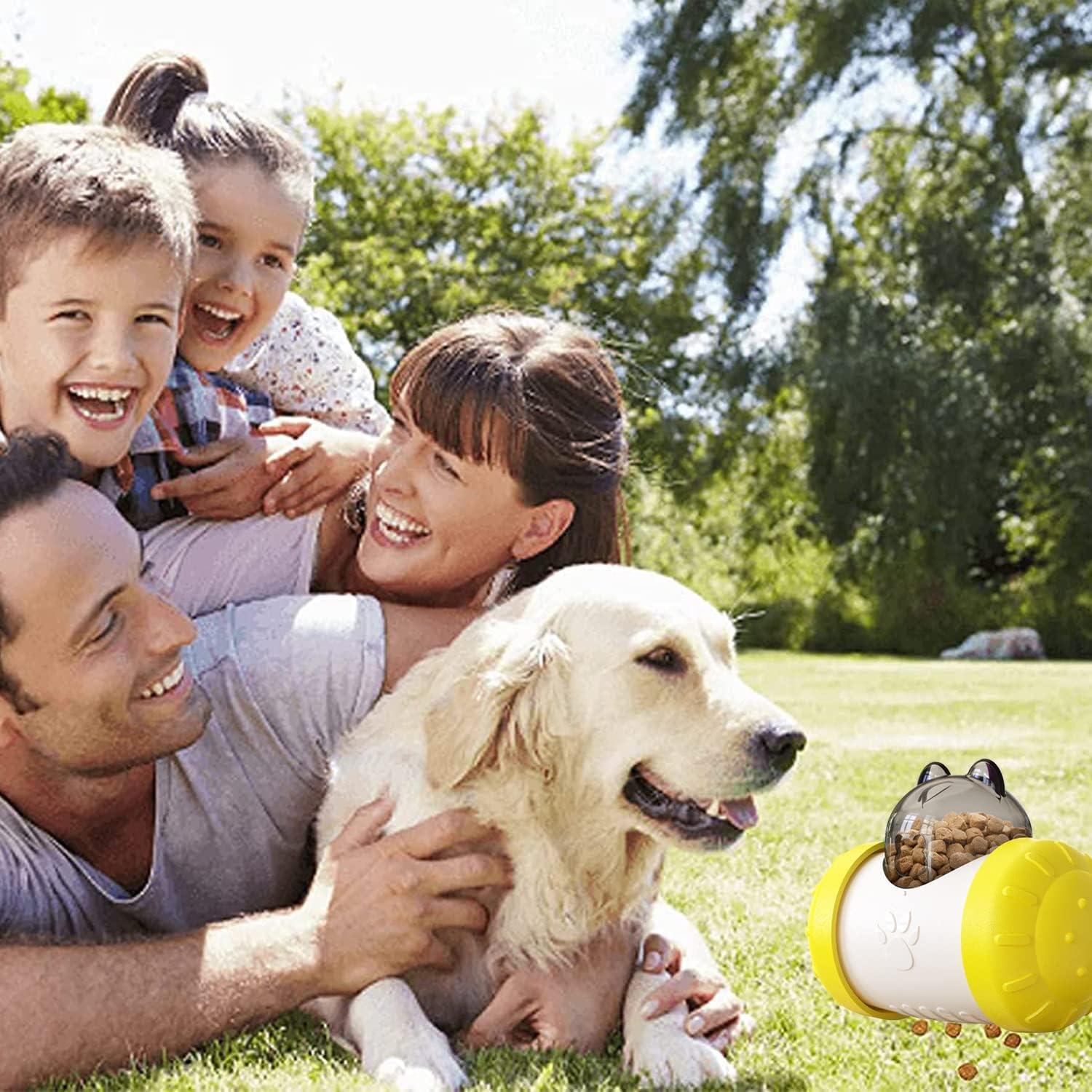 Chó bóng, nhà phân phối kibble chó, đối xử tombler, đồ chơi giáo dục mèo và chó, đồ chơi tương tác, dẫn đến trí thông minh của mèo và chó