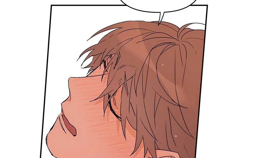 guide cấp b chapter 9 32