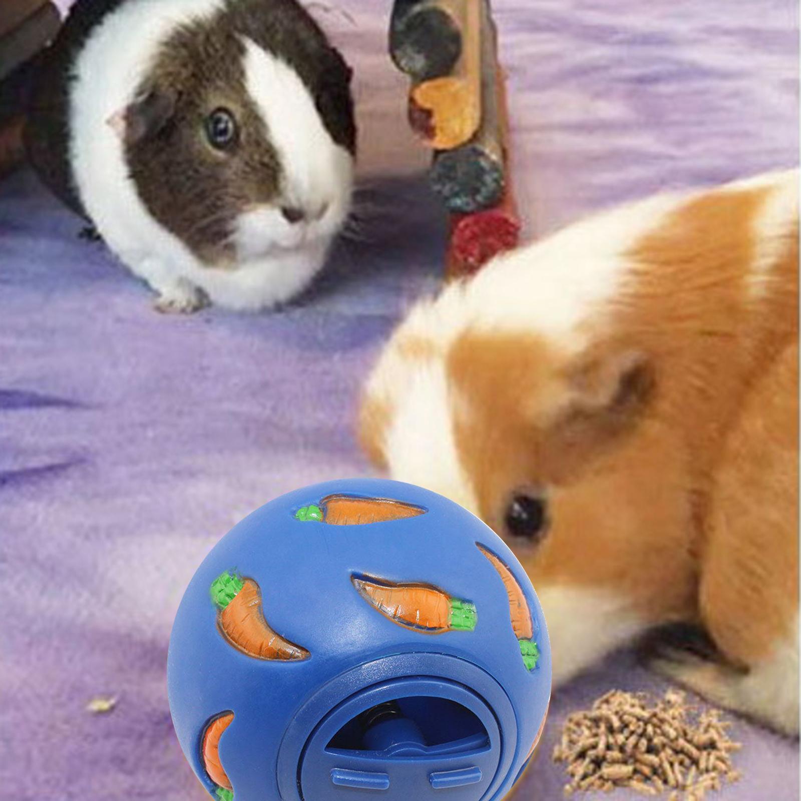 Bunny Treat Ball Snack Toy Ball Pet Slow Feeder Dog Interactive Toy Physical and Mental Exercise Feeding Guinea Pig Chinchilla Dog