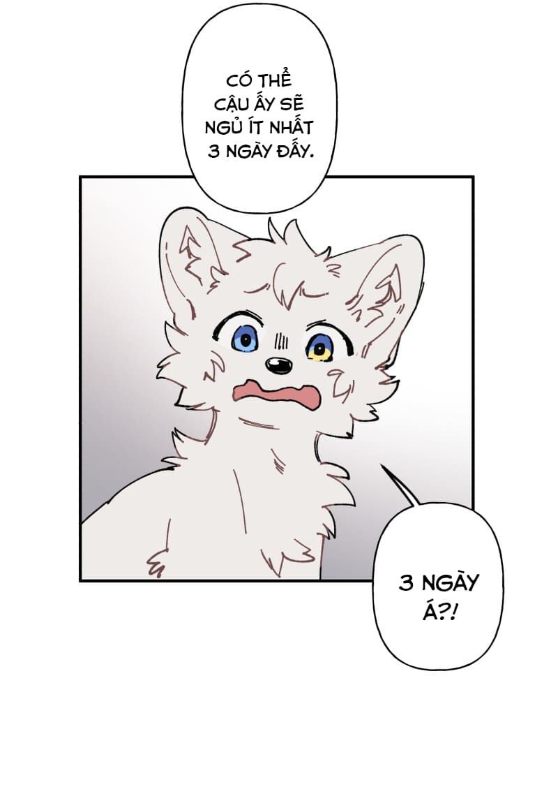 lumine - cội nguồn ánh sáng chapter 105 12