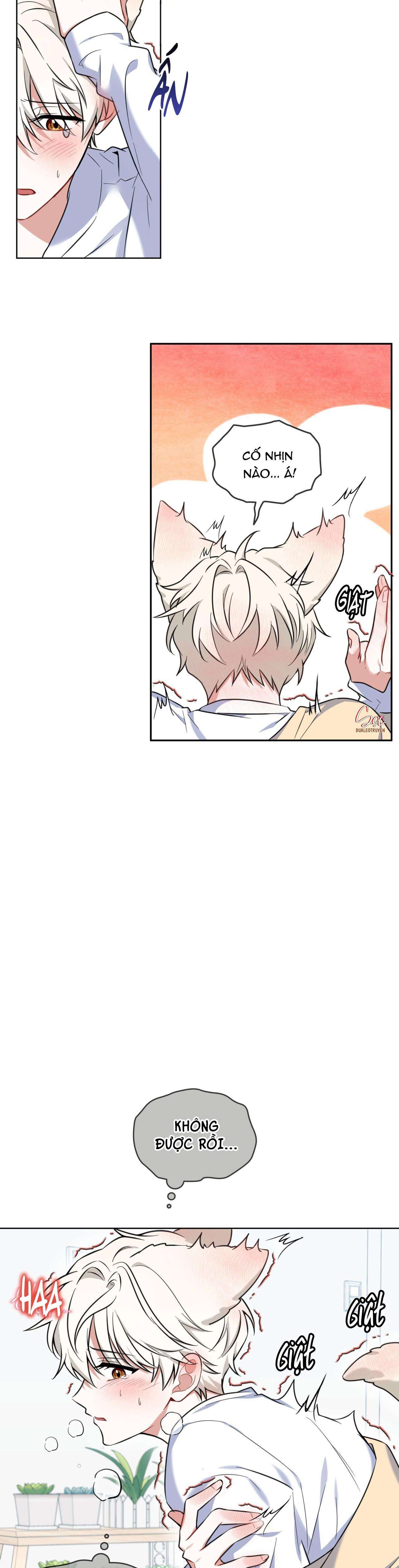 nước uống tình yêu của cáo plin chapter 2 12