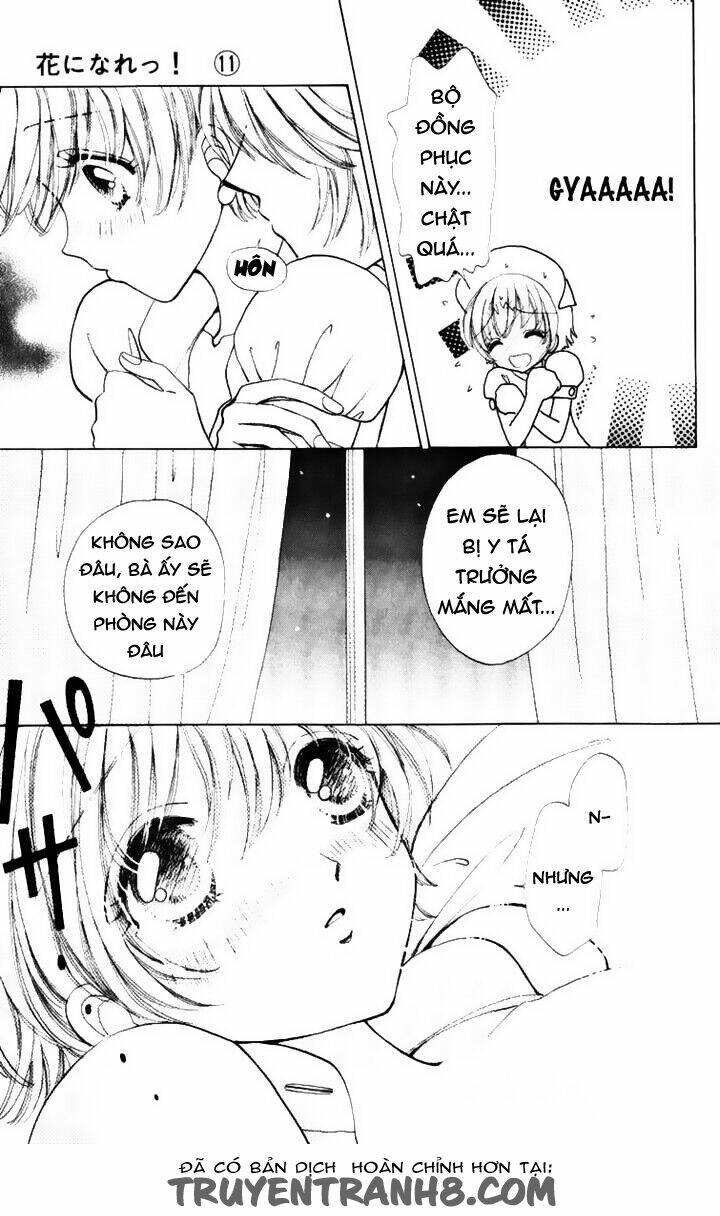 hana ni nare chapter 72 18