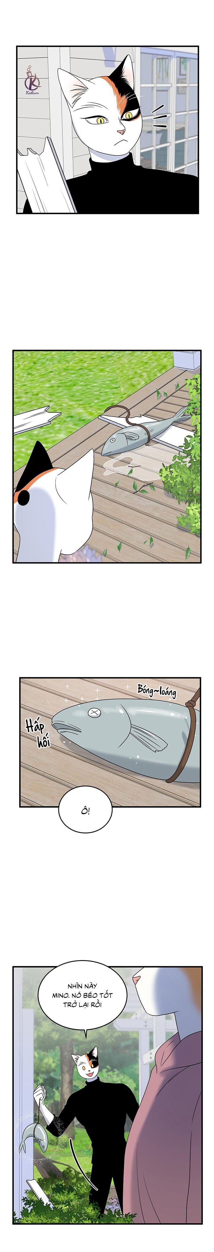 dự án xanh chapter 47 9